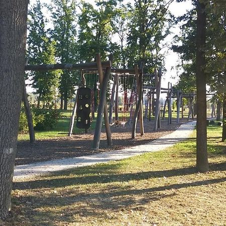 Apartma Mbm Leilighet Križevci pri Ljutomeru Eksteriør bilde