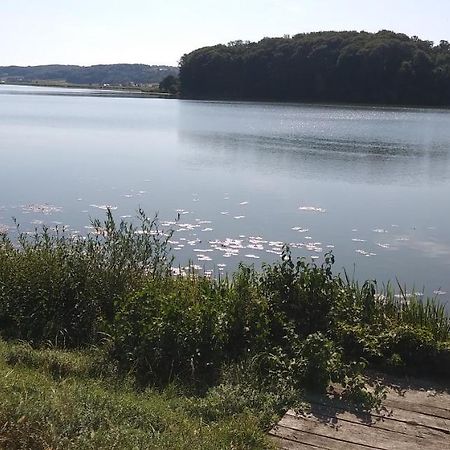 Apartma Mbm Leilighet Križevci pri Ljutomeru Eksteriør bilde