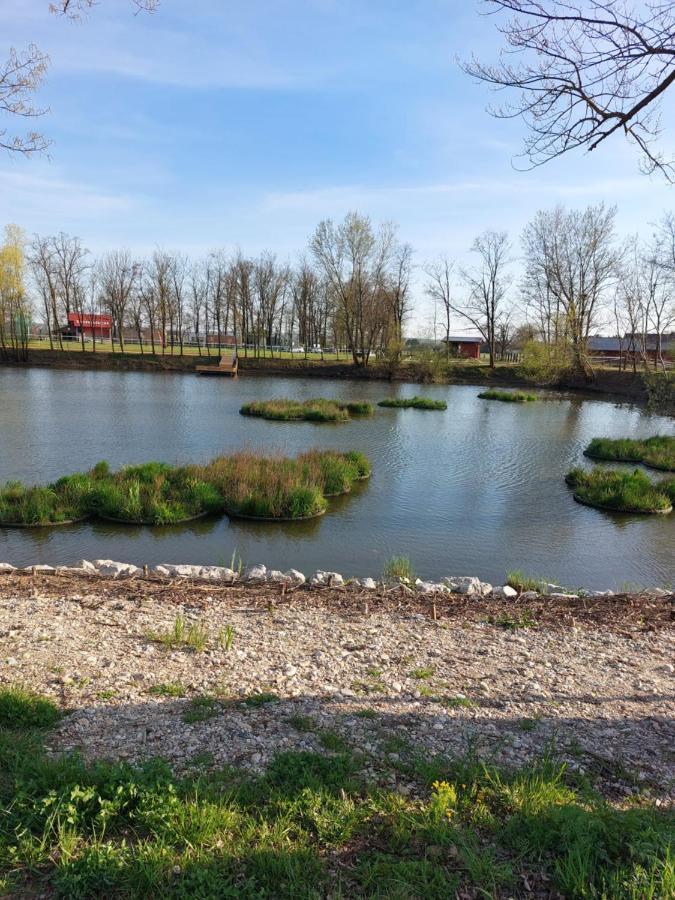 Apartma Mbm Leilighet Križevci pri Ljutomeru Eksteriør bilde